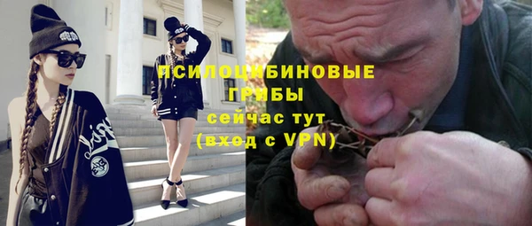 PSILOCYBIN Абаза
