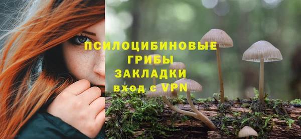 a pvp Сафоново