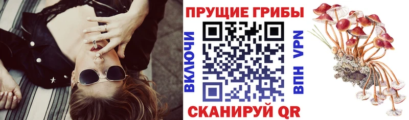 Галлюциногенные грибы Cubensis  Карасук 