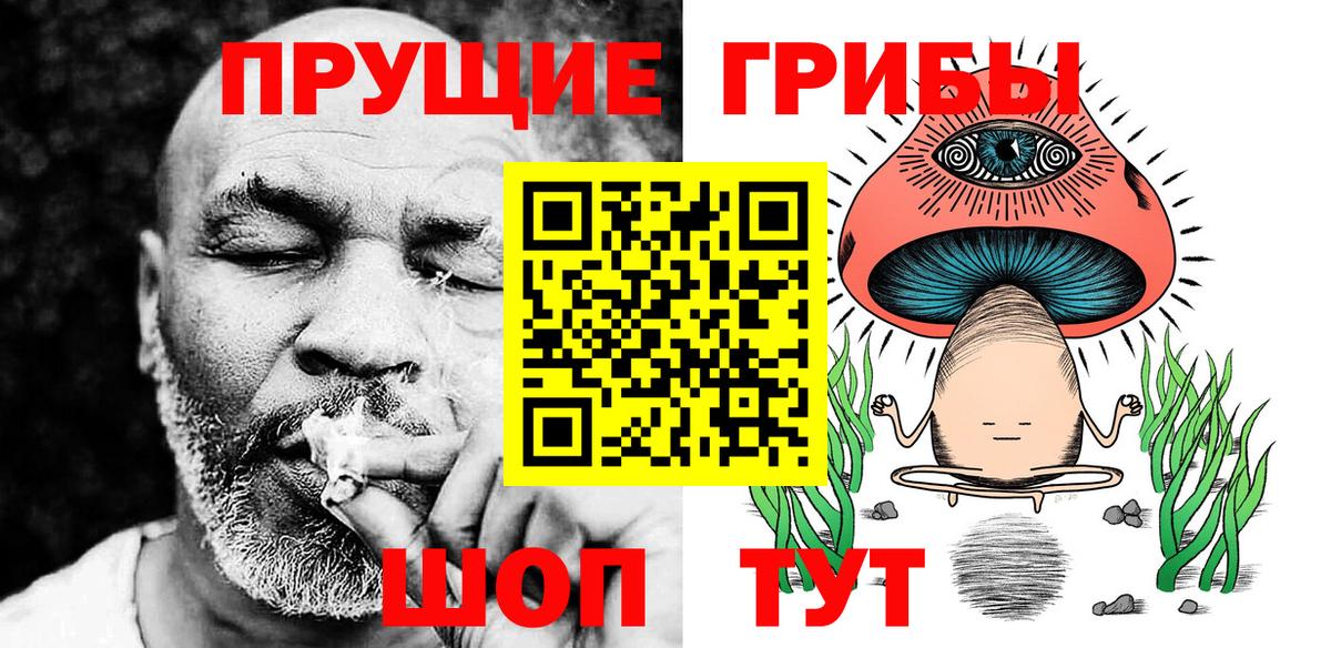 Псилоцибиновые грибы мицелий Карасук