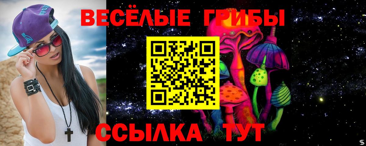 Карасук  Псилоцибиновые грибы мицелий  магазин продажи   Вход с VPN 